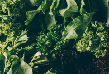 The Benefits of Leafy Greens on Your Health